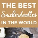 The Best Snickerdoodle Recipe in the World | how to make snickerdoodles, homemade snickerdoodles, homemade snickerdoodle recipe, from scratch cookie recipes, easy cookie recipes, the best cookie recipes, snickerdoodle recipe ideas || The Butter Half via @thebutterhalf