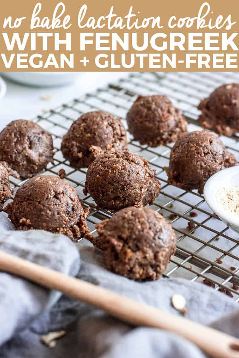 NoBake Lactation Cookies with Fenugreek (Vegan + GlutenFree) The