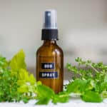Pull back shot of homemade bug spray bottle with green herb leaves