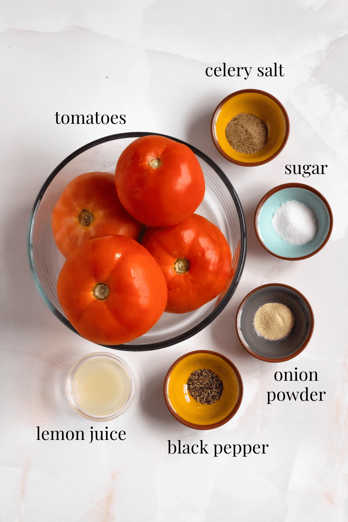 homemade tomato juice ingredients on a light colored background